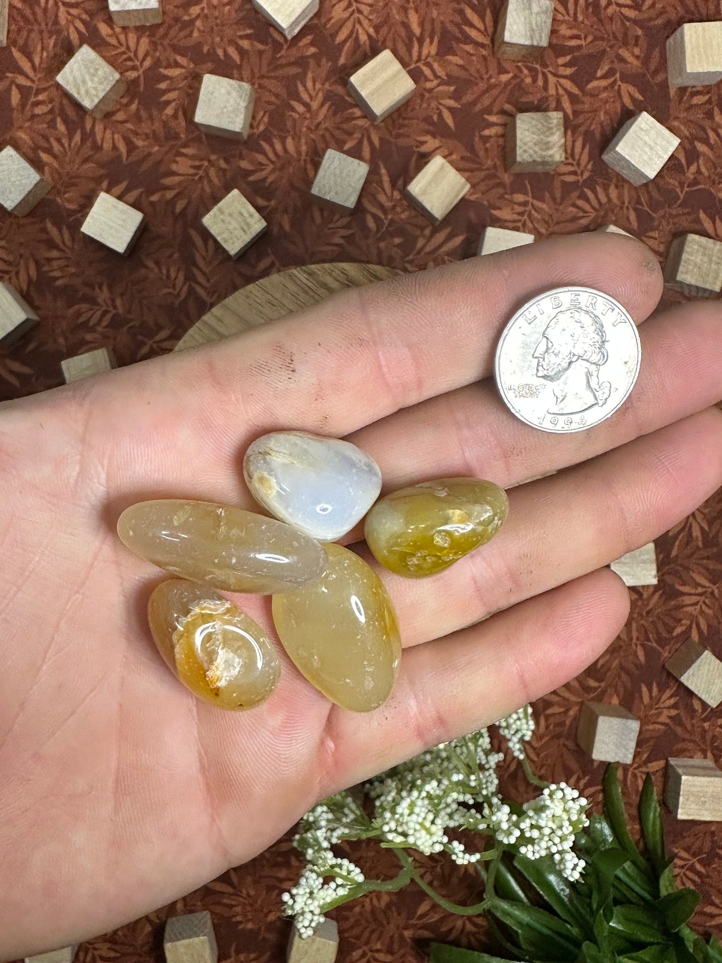 Carnelian Tumbled Stone Multiple Size Red Carnelian Crystal Tumble Beautiful Carnelian Pocket Stone Perfect for Crystal Collection or Gift