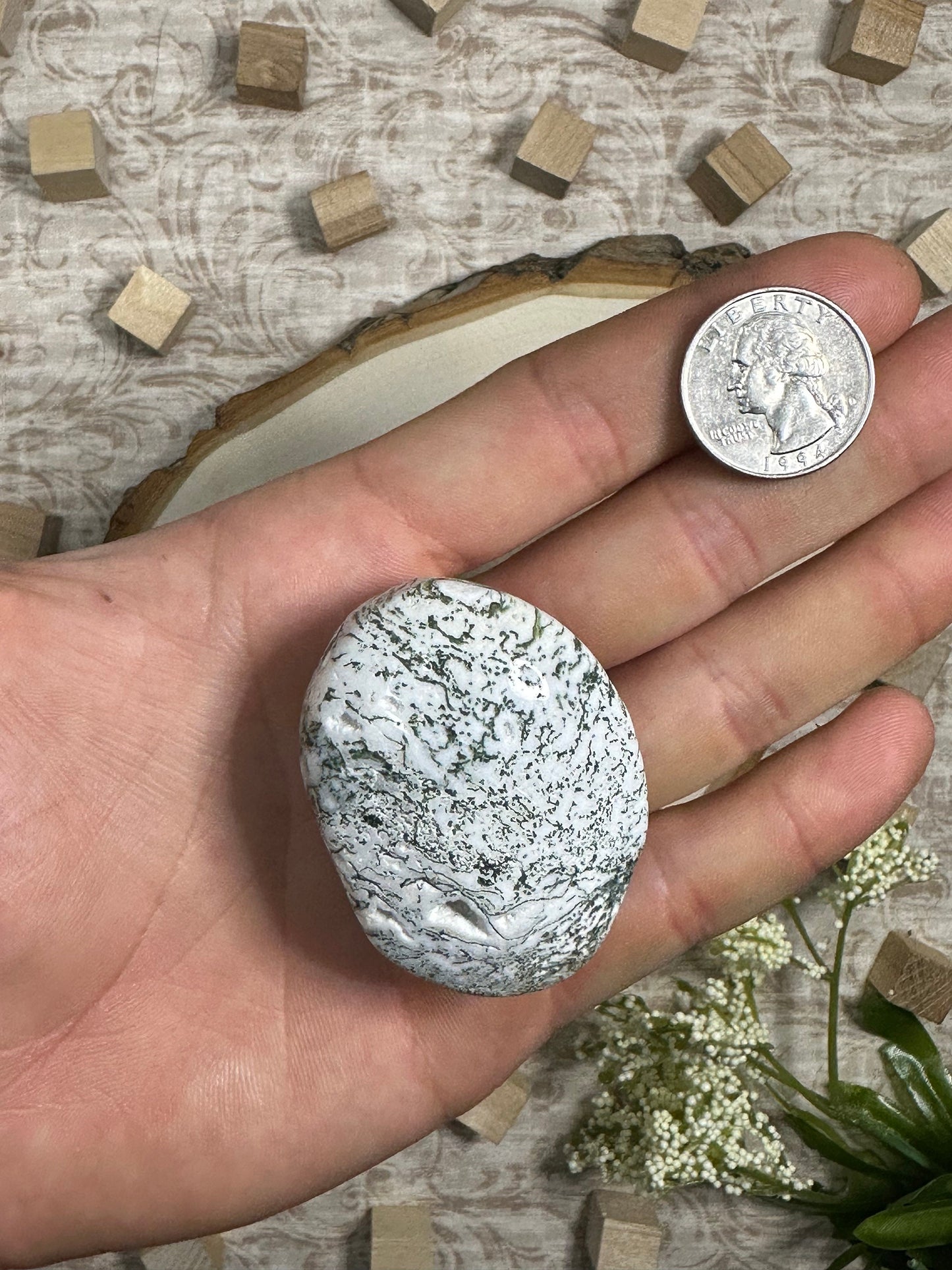 Natural Moss Agate Crystal Palm Stone