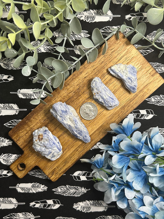 Raw Kyanite Blue Crystal Specimen Metaphysical Healing Crystals for meditation crystal collection or perfect last minute crystal gift