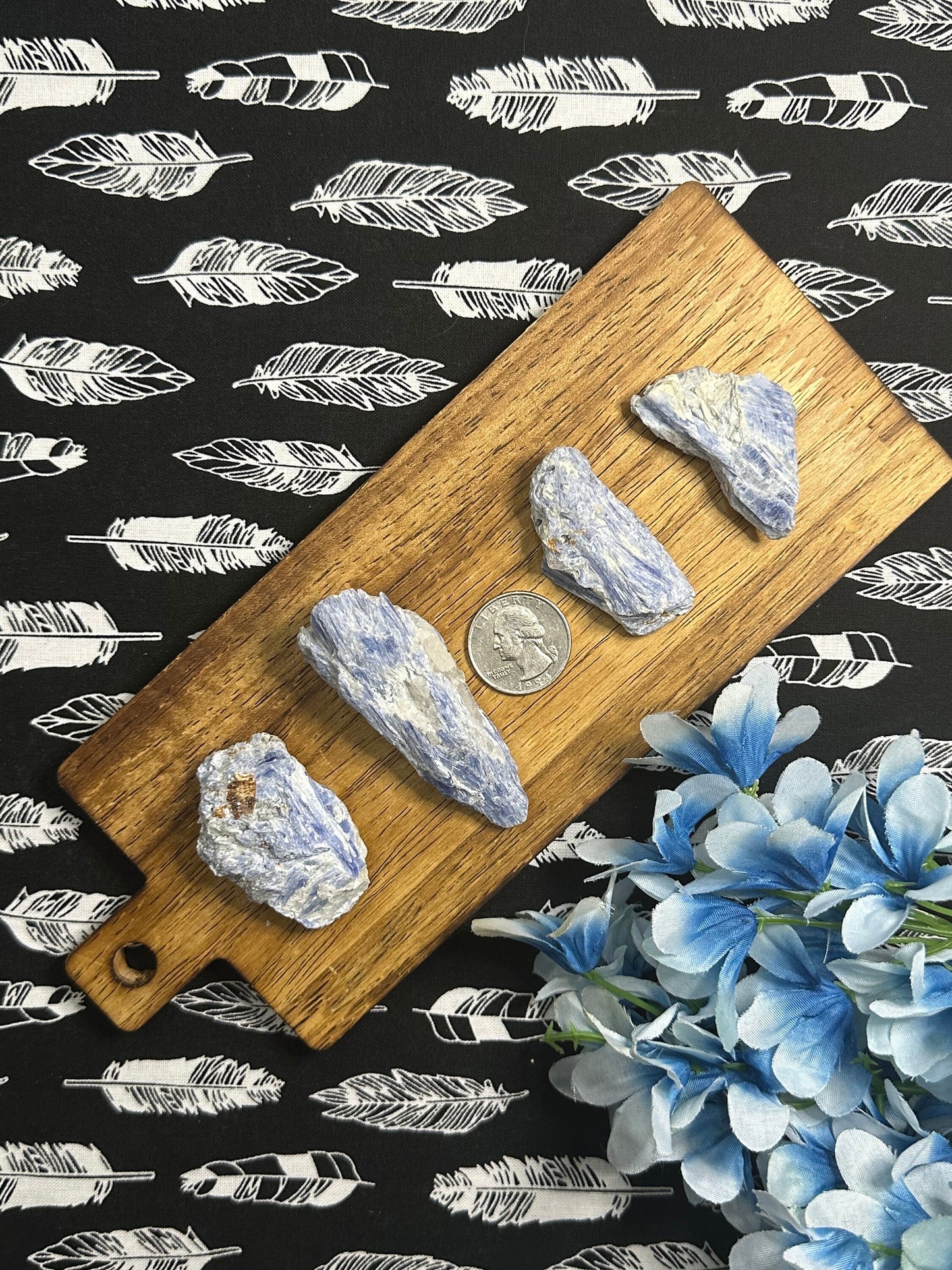 Raw Kyanite Blue Crystal Specimen Metaphysical Healing Crystals for meditation crystal collection or perfect last minute crystal gift