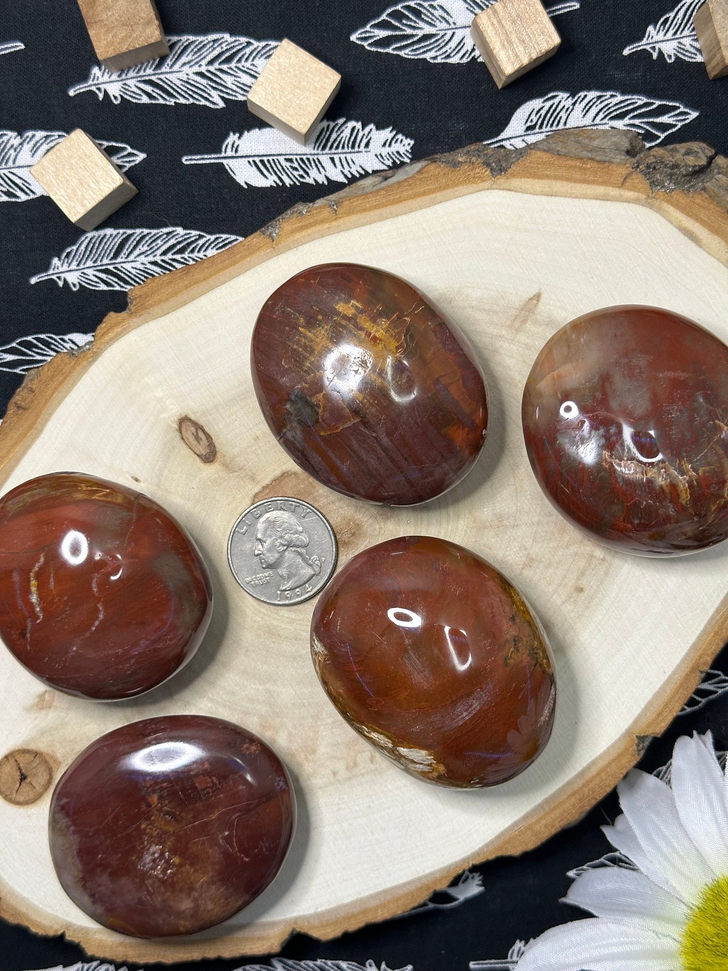 Natural Petrified Wood Palm Stone Intuitively Chosen Petrified Wood Worry Stone Fossilized Tree Palm Stone Crystal Palm Stone Great Gift