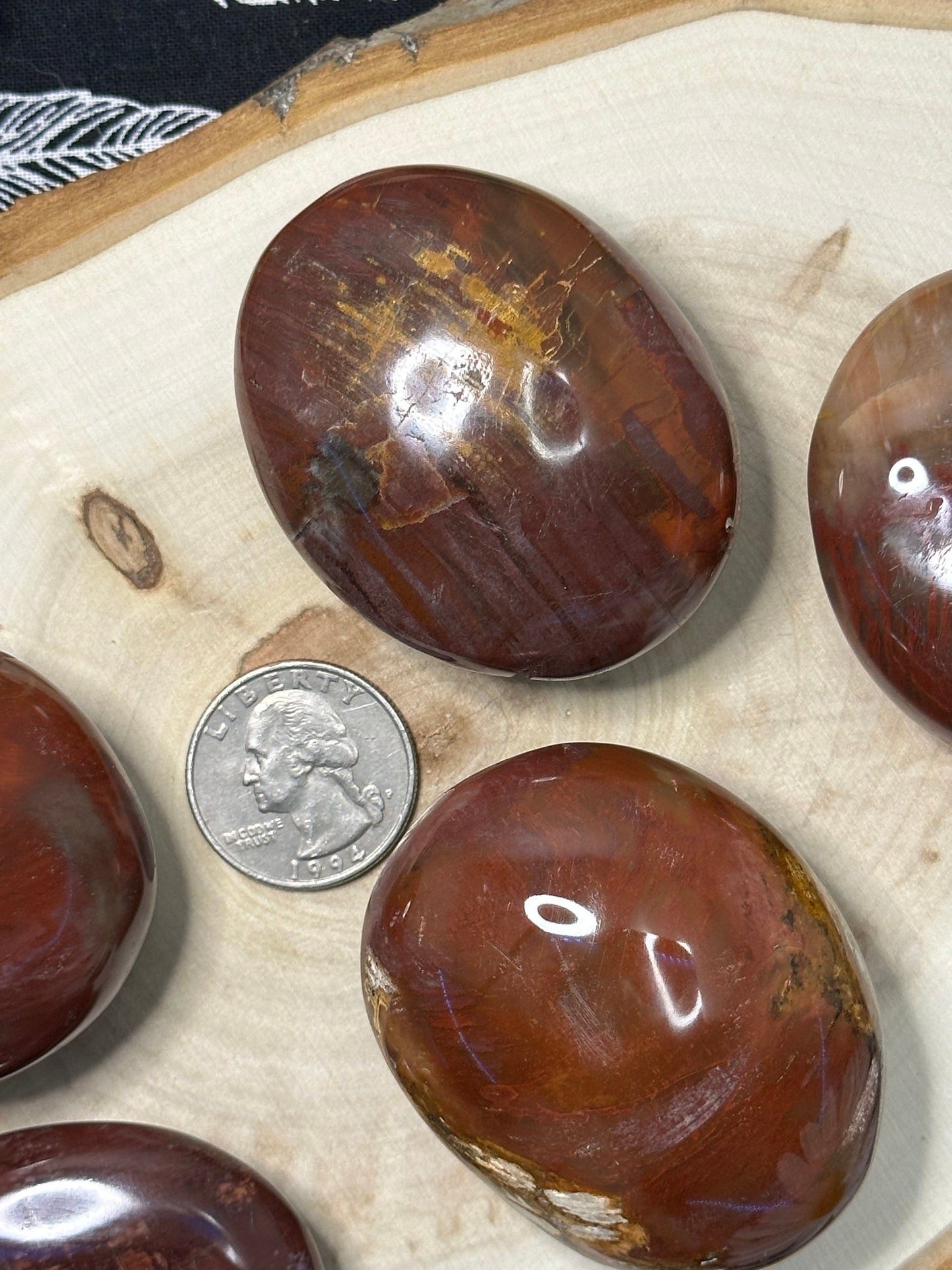 Natural Petrified Wood Palm Stone Intuitively Chosen Petrified Wood Worry Stone Fossilized Tree Palm Stone Crystal Palm Stone Great Gift