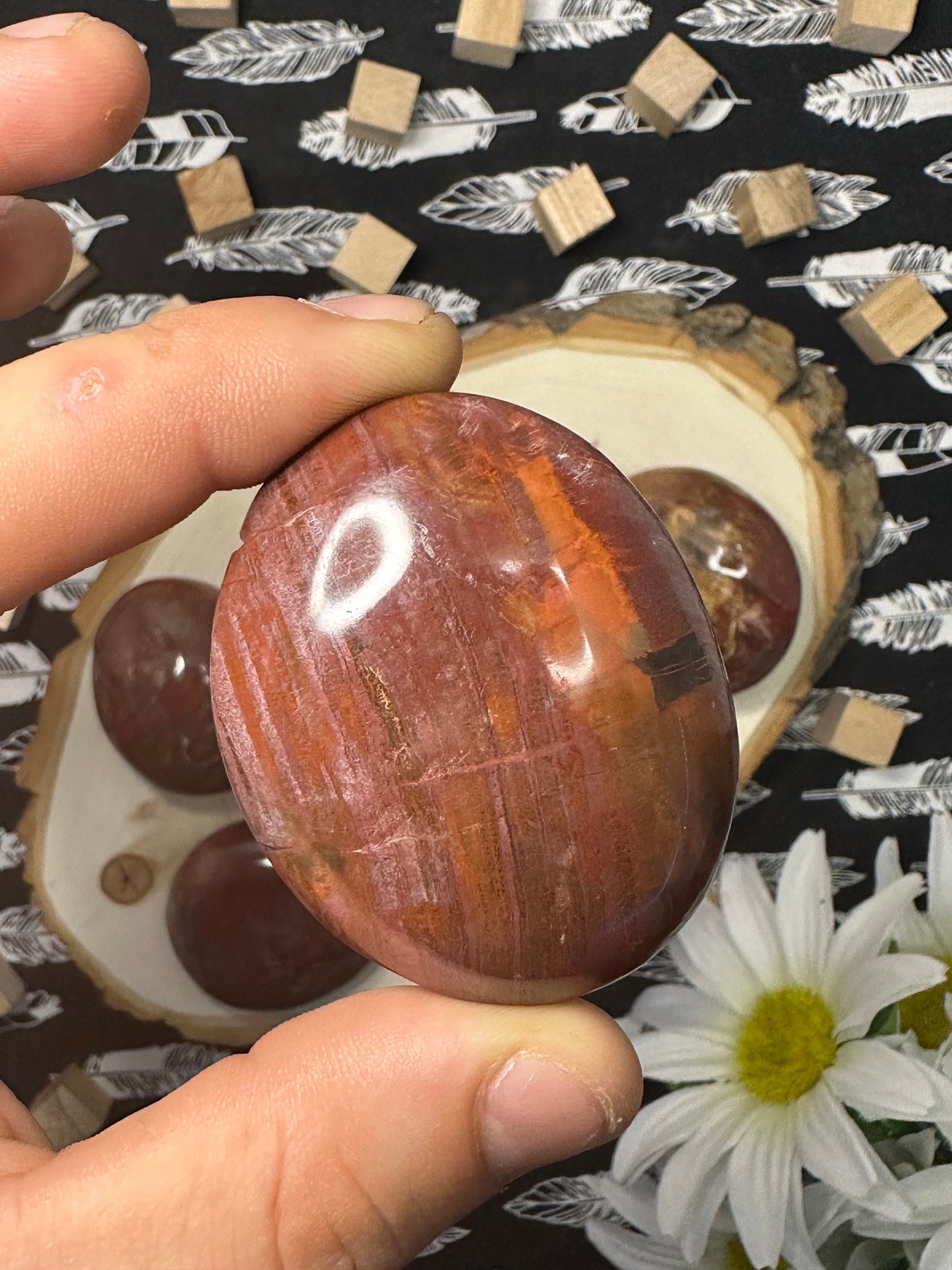 Natural Petrified Wood Palm Stone Intuitively Chosen Petrified Wood Worry Stone Fossilized Tree Palm Stone Crystal Palm Stone Great Gift