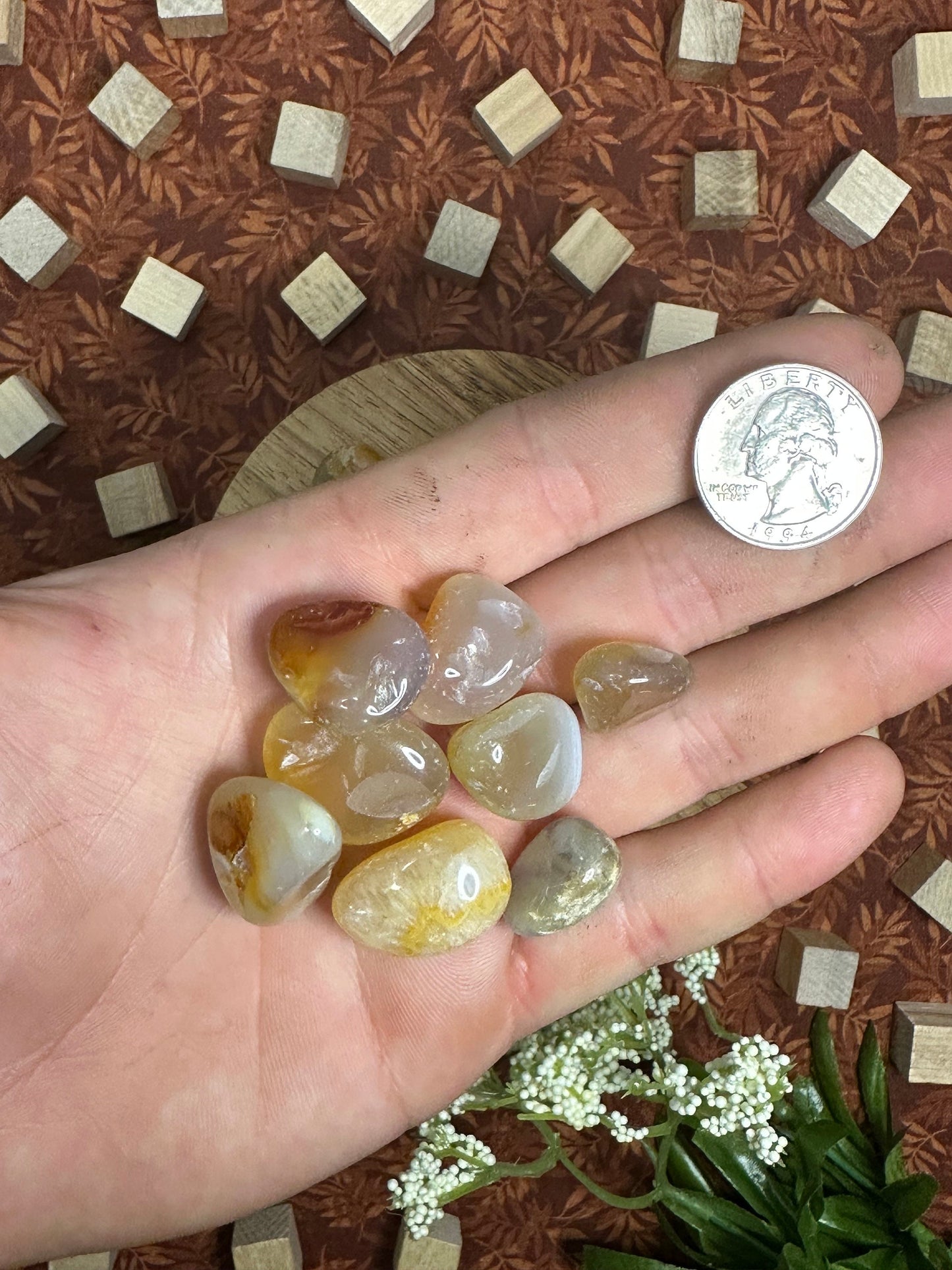 Carnelian Tumbled Stone Multiple Size Red Carnelian Crystal Tumble  Beautiful Carnelian Pocket Stone Perfect for Crystal Collection or Gift