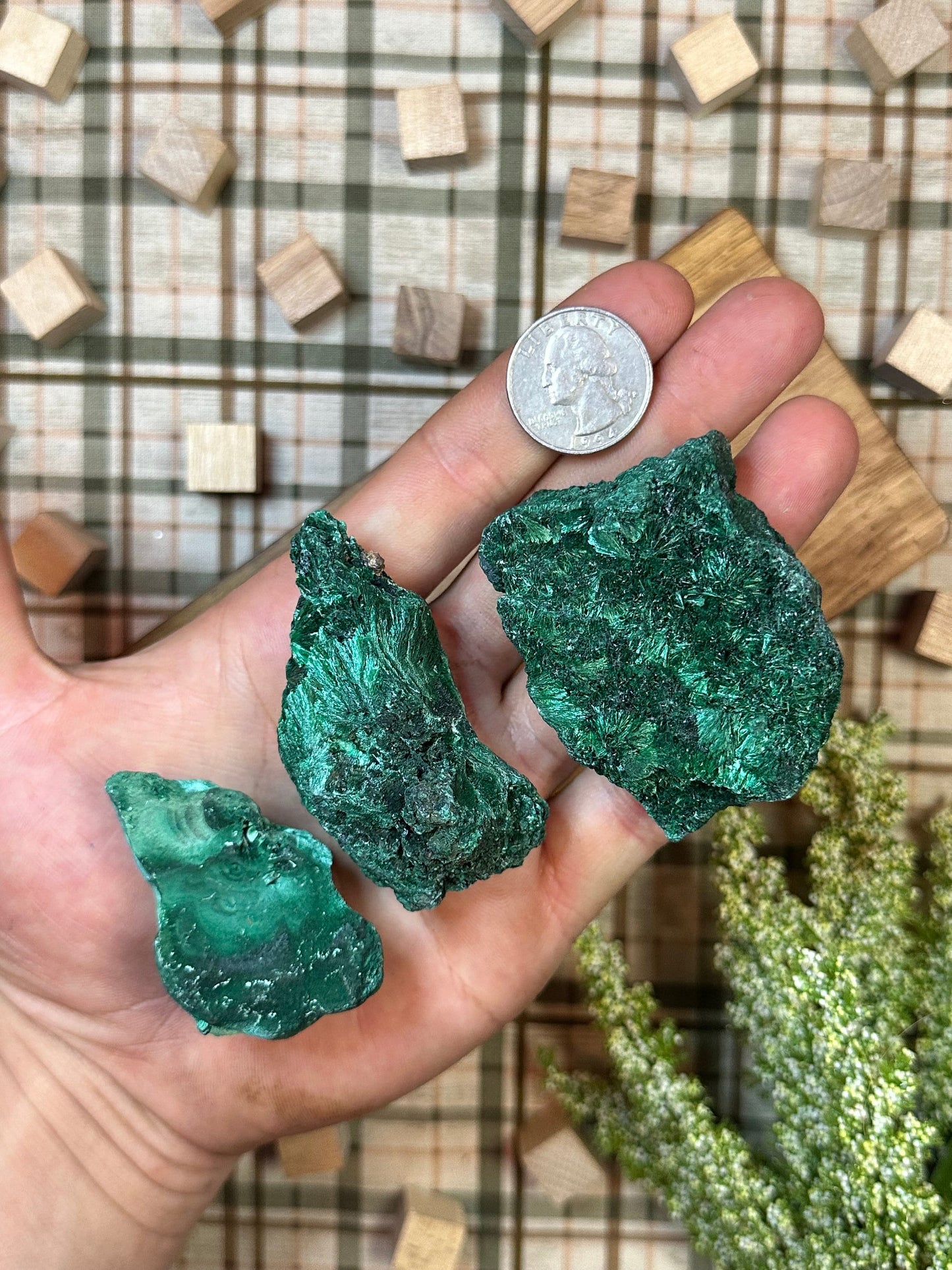 Malachite Crystal Specimen, Beautiful Malachite Cluster Multiple Sizes Available, Green Malachite Chunk, Fibrous Velvet Malachite Crystal