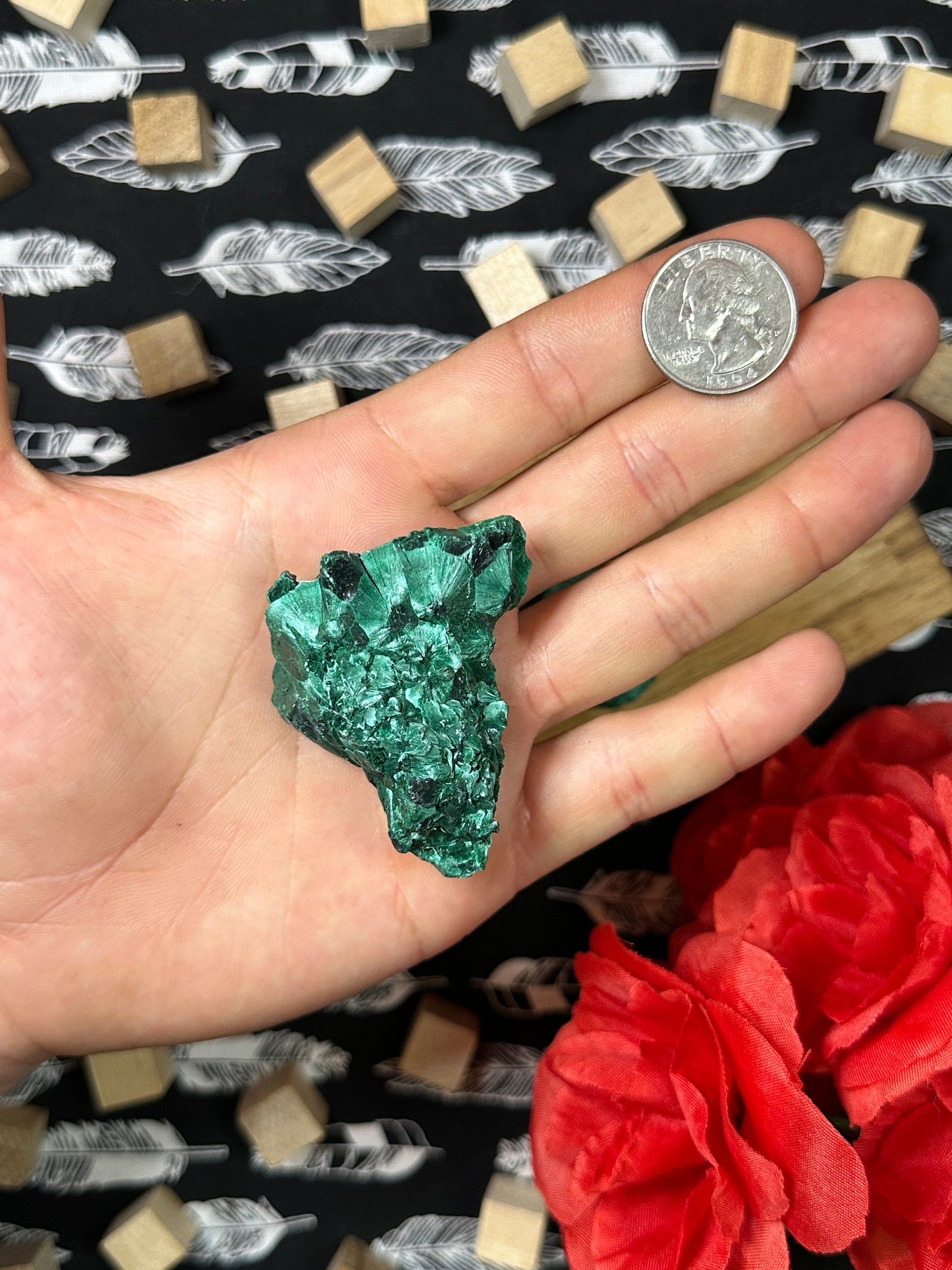 Velvet Malachite Crystal Specimens Multiple Size Avaliable Natural Satin Crystal Malachite Chunk Green Malachite Gemstone Crystal Collection