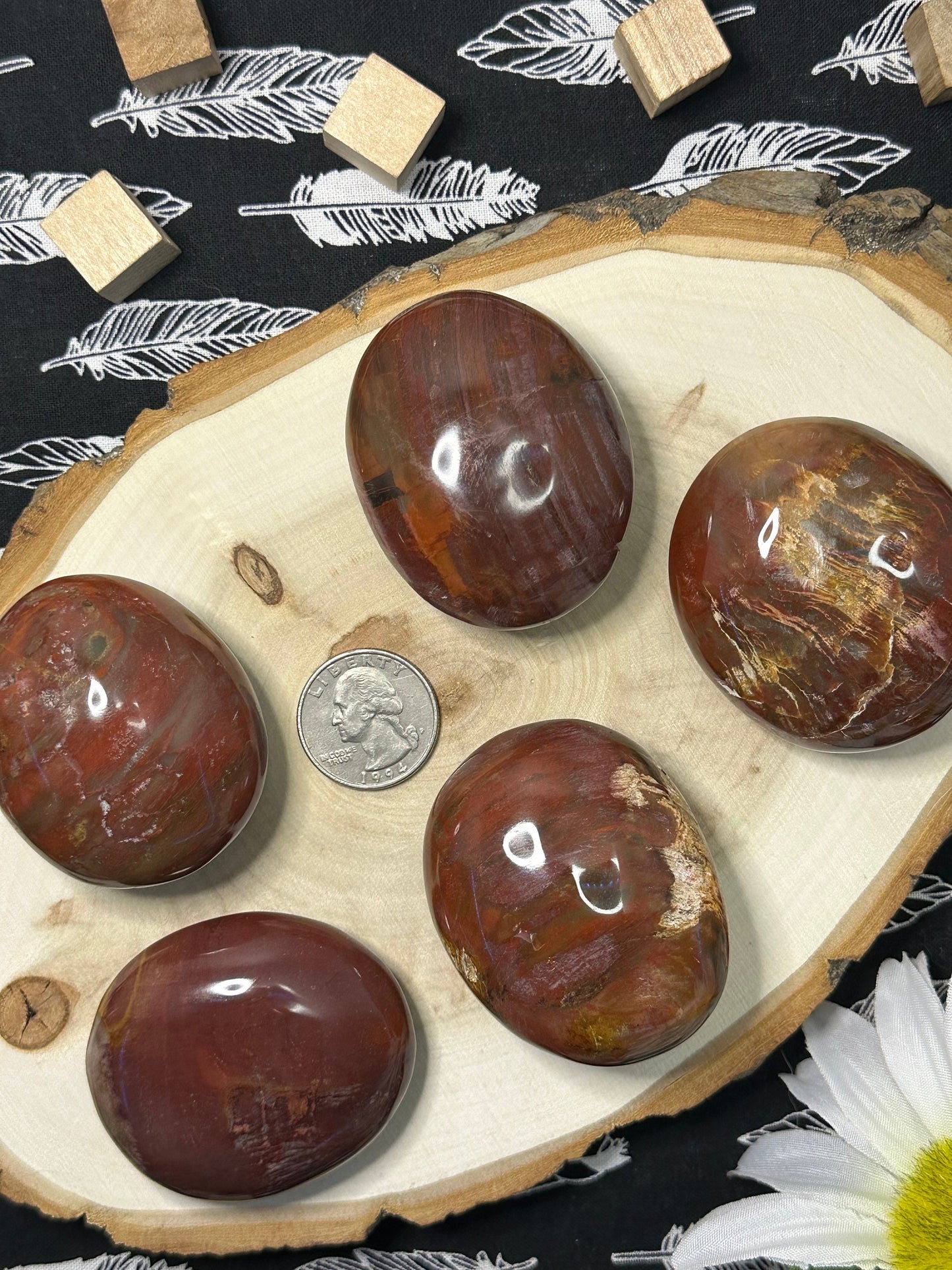 Natural Petrified Wood Palm Stone Intuitively Chosen Petrified Wood Worry Stone Fossilized Tree Palm Stone Crystal Palm Stone Great Gift