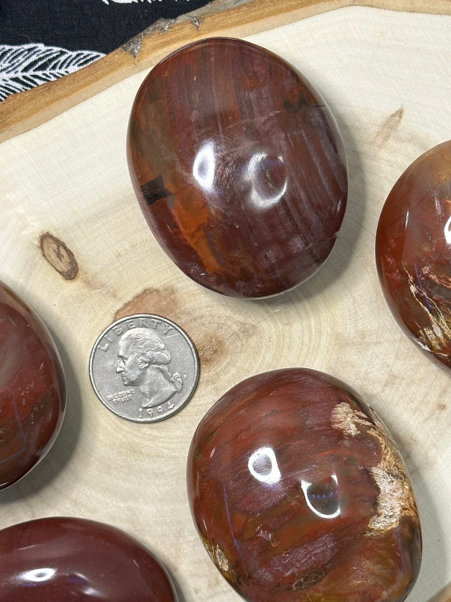 Natural Petrified Wood Palm Stone Intuitively Chosen Petrified Wood Worry Stone Fossilized Tree Palm Stone Crystal Palm Stone Great Gift