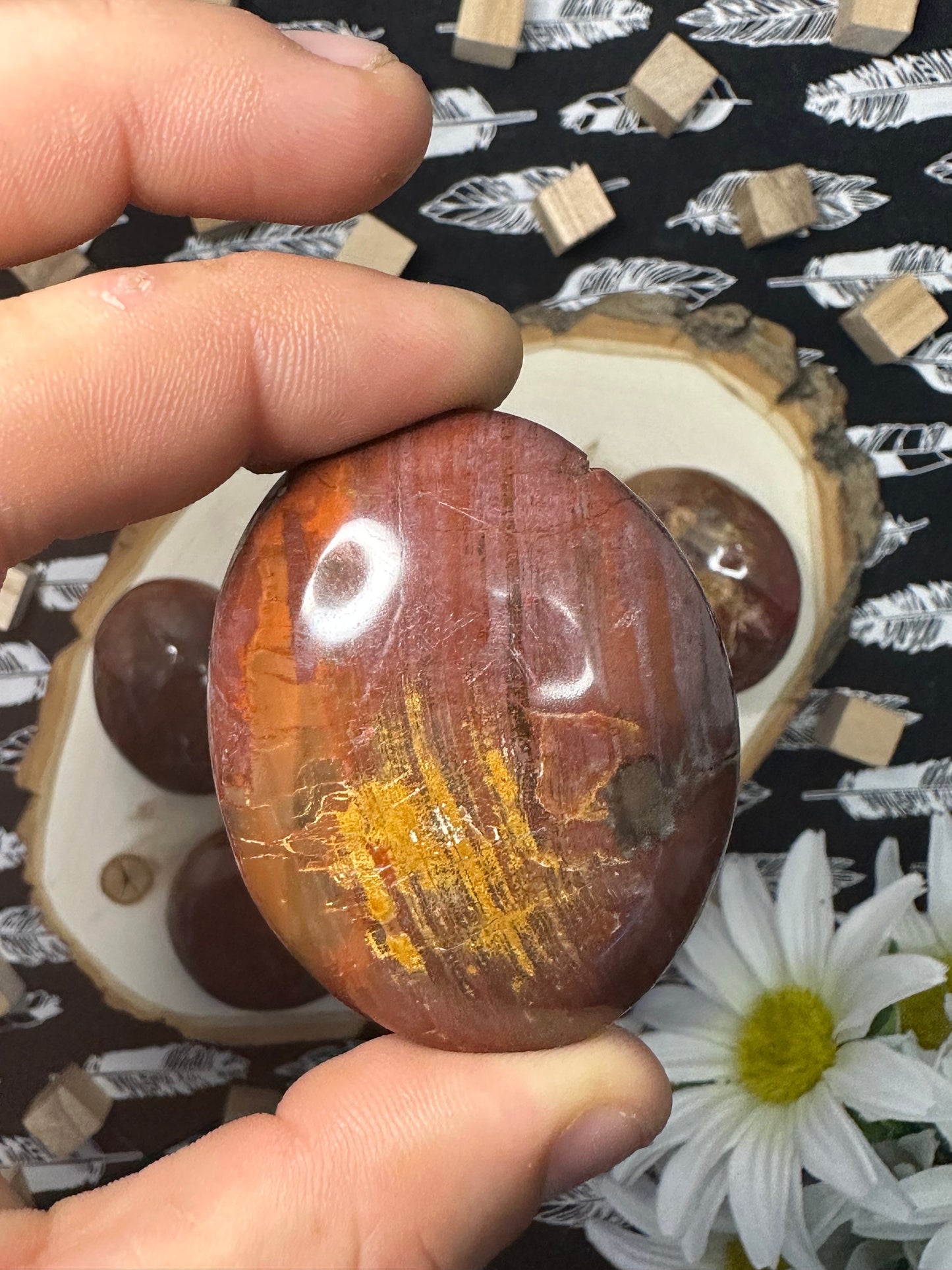 Natural Petrified Wood Palm Stone Intuitively Chosen Petrified Wood Worry Stone Fossilized Tree Palm Stone Crystal Palm Stone Great Gift