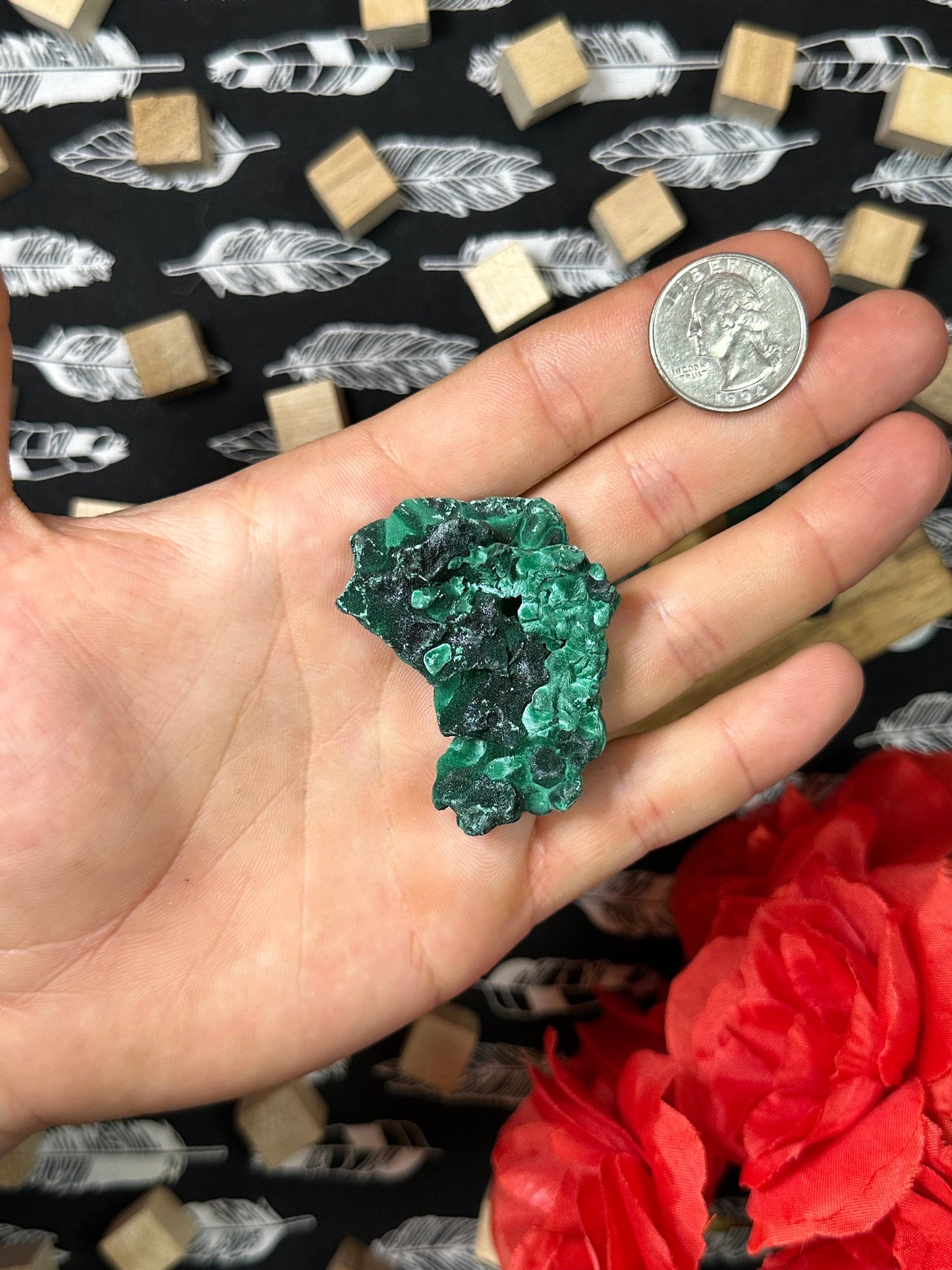 Velvet Malachite Crystal Specimens Multiple Size Avaliable Natural Satin Crystal Malachite Chunk Green Malachite Gemstone Crystal Collection